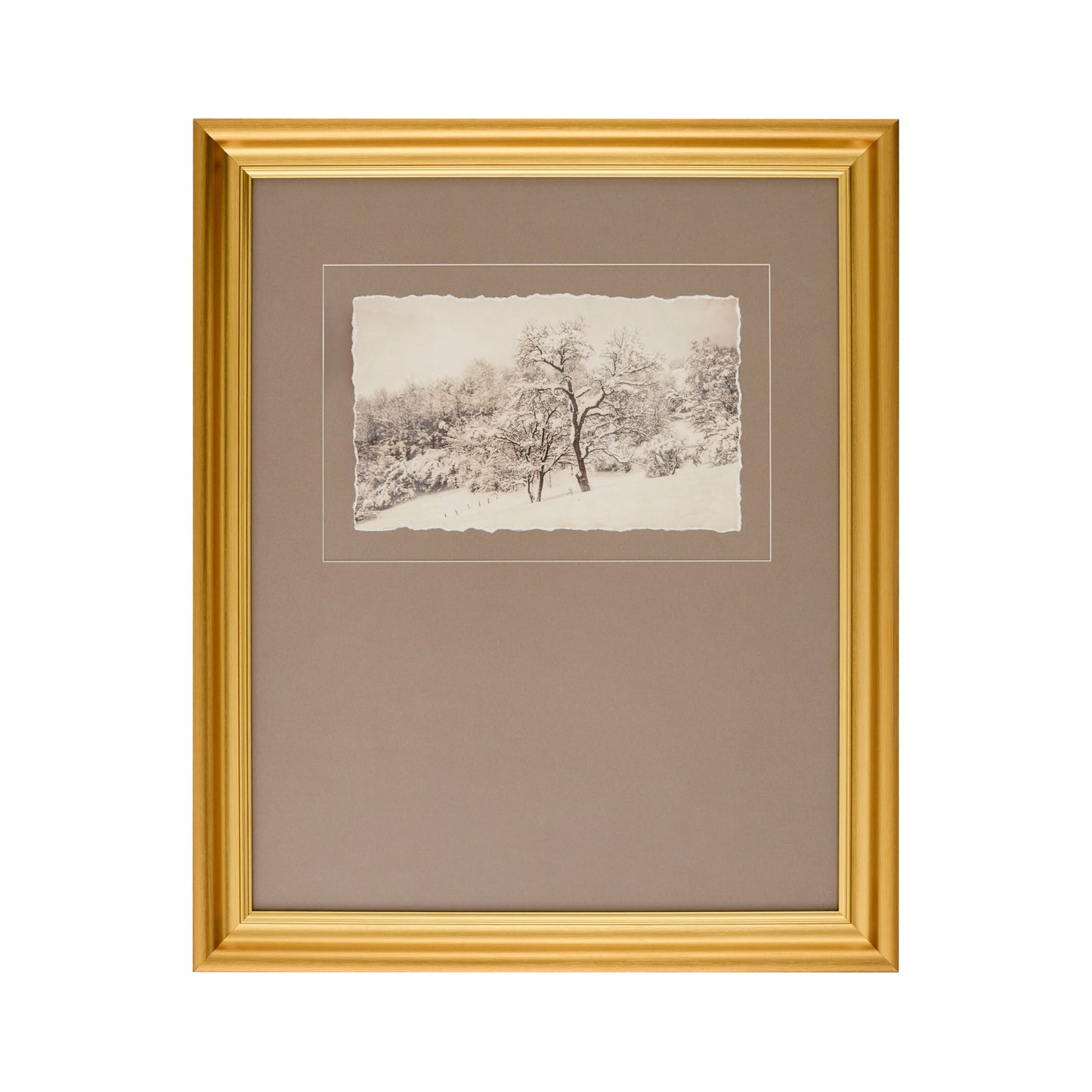 Estampe encadrée « Silence sous la canopée »