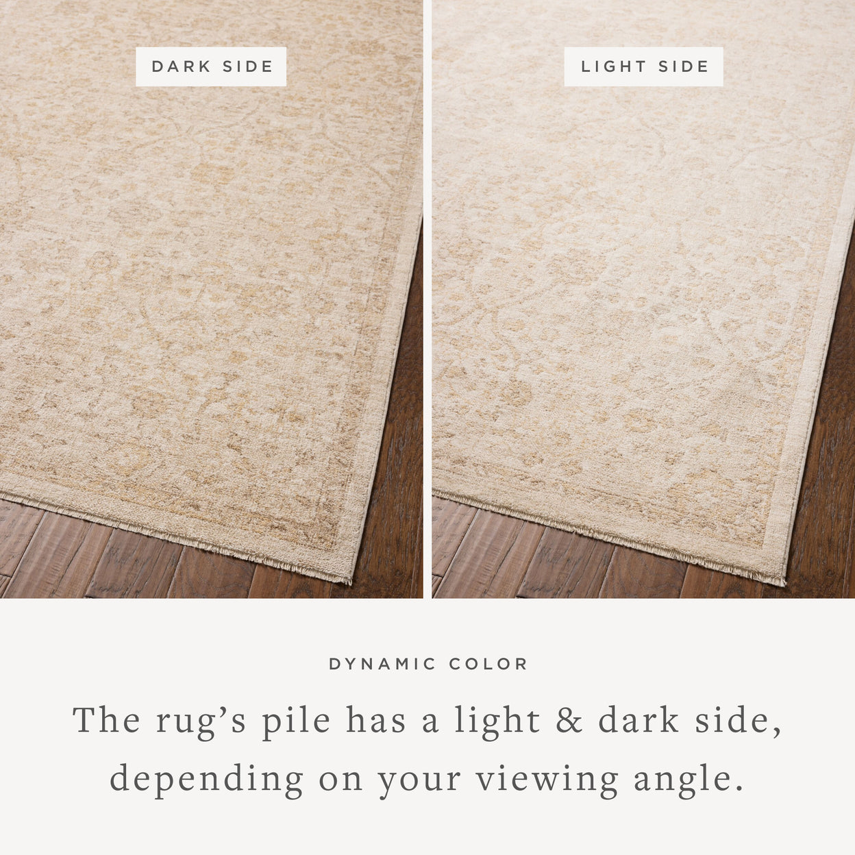 Tapis Chris Loves Julia x Loloi Palma Ivoire / Sable