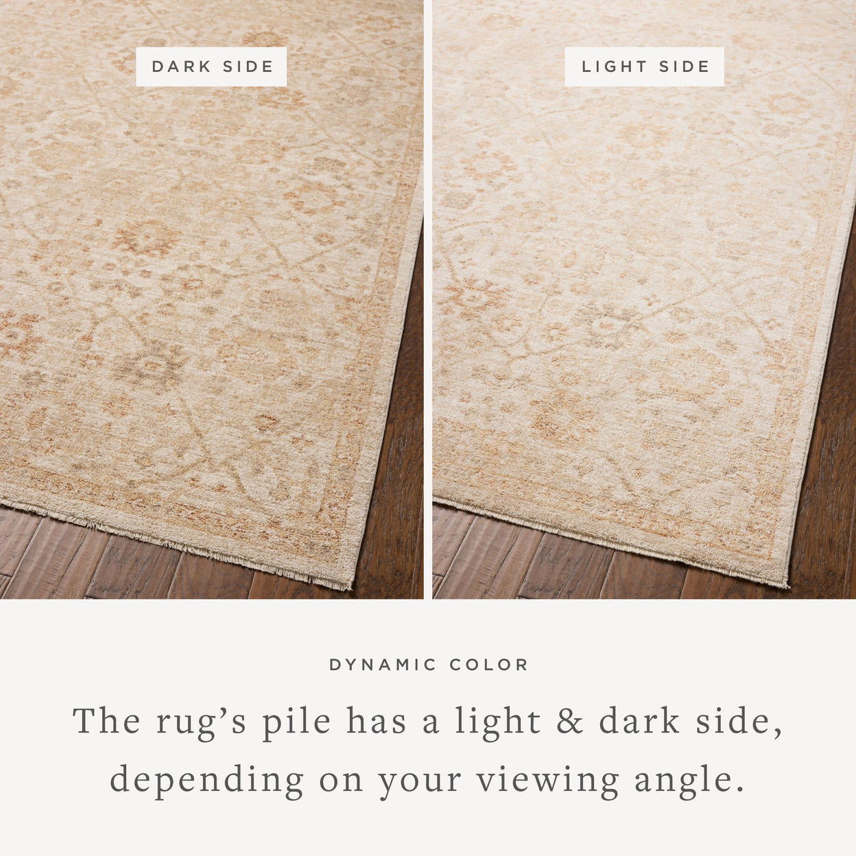 Tapis Chris Loves Julia x Loloi Palma Naturel / Épicé