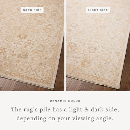 Tapis Chris Loves Julia x Loloi Palma Naturel / Épicé