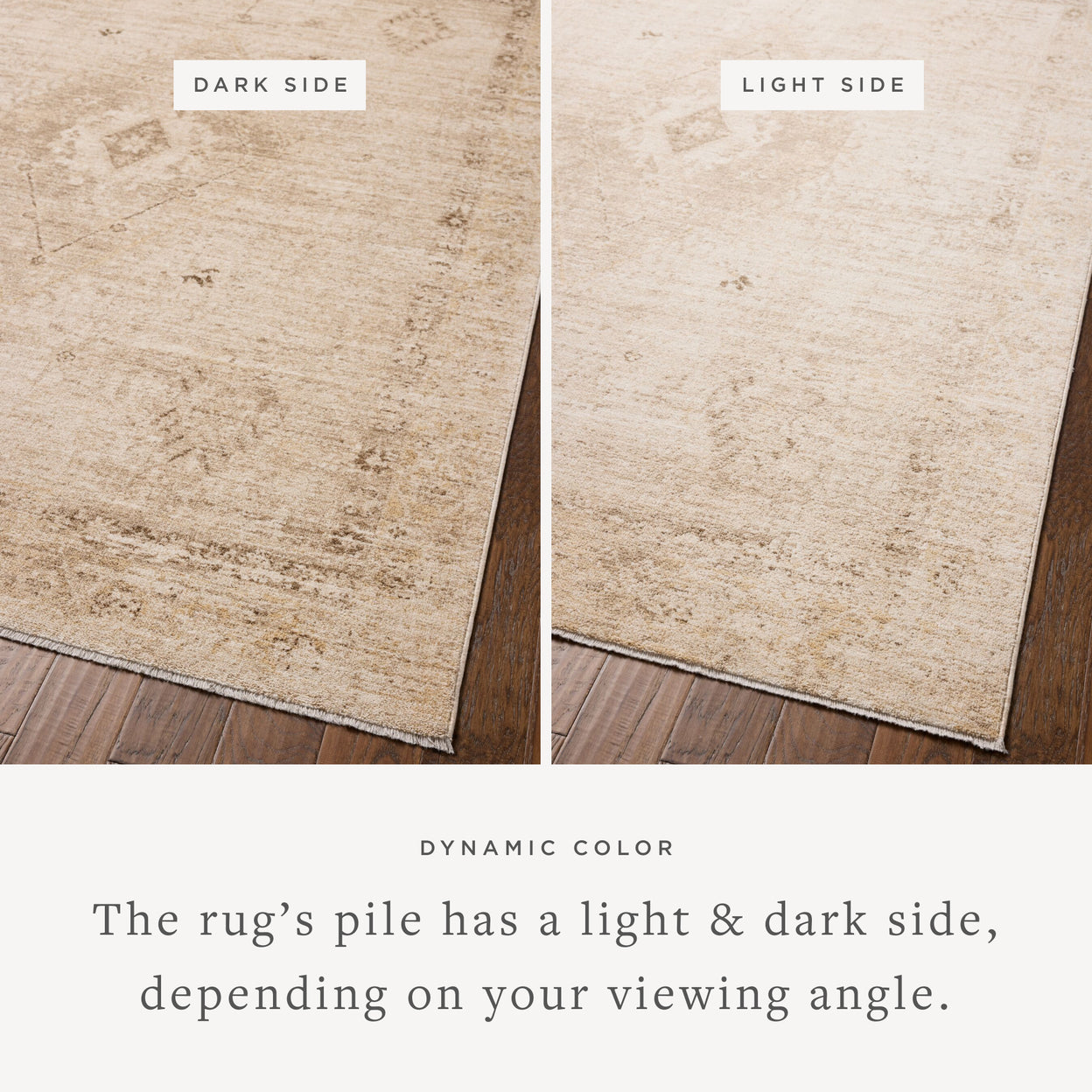 Tapis Chris Loves Julia x Loloi Palma Naturel / Fumé