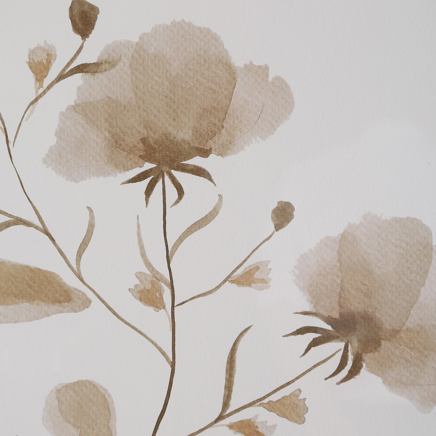 Ensemble d'œuvres encadrées Marlena