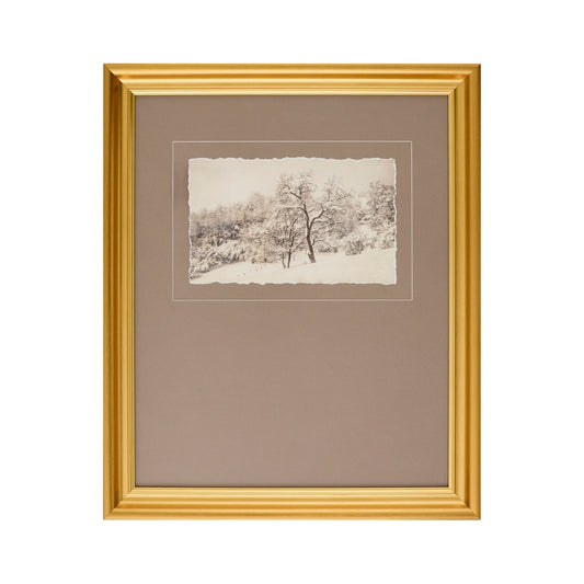 Estampe encadrée « Silence sous la canopée »