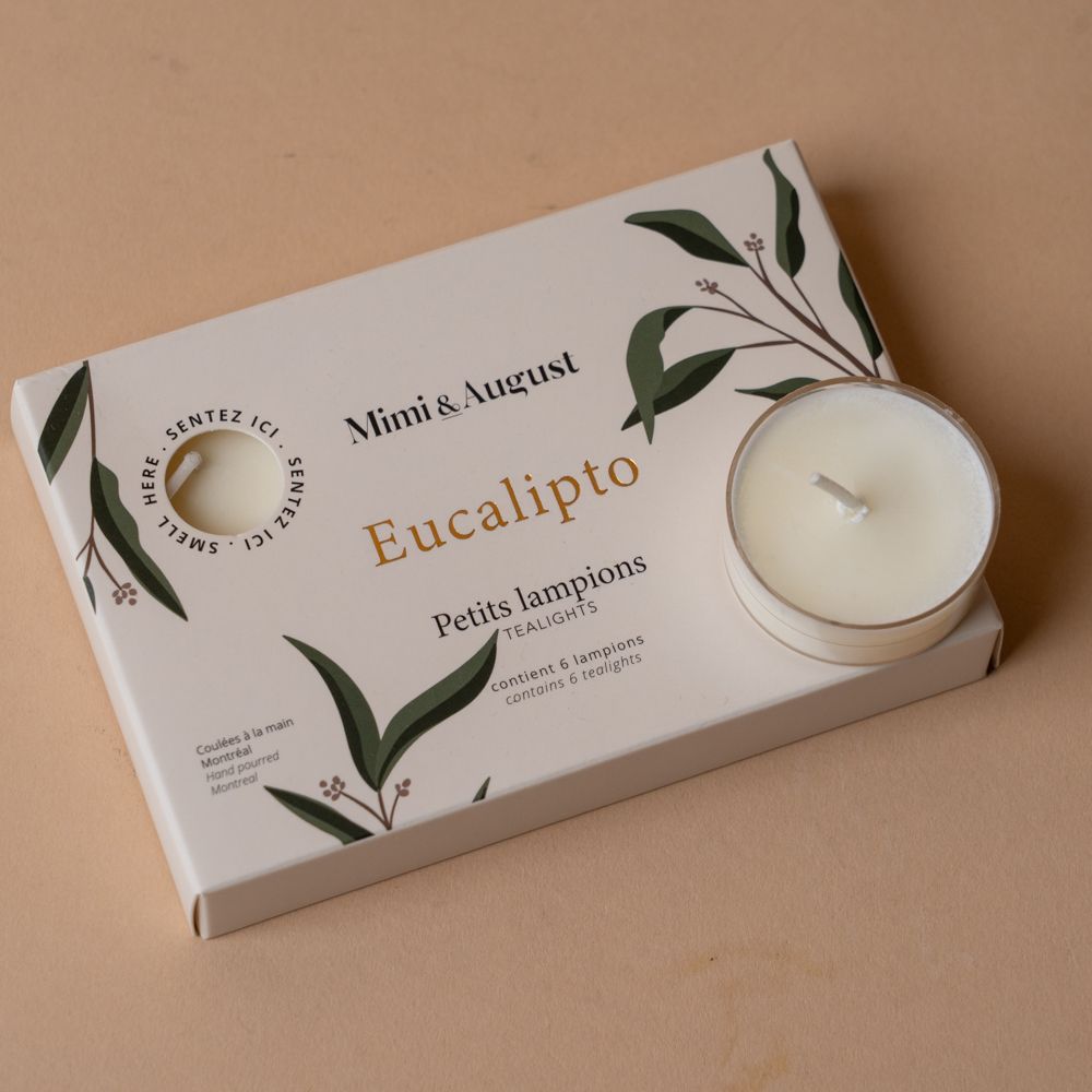 Ensemble de bougies chauffe-plat en eucalyptus